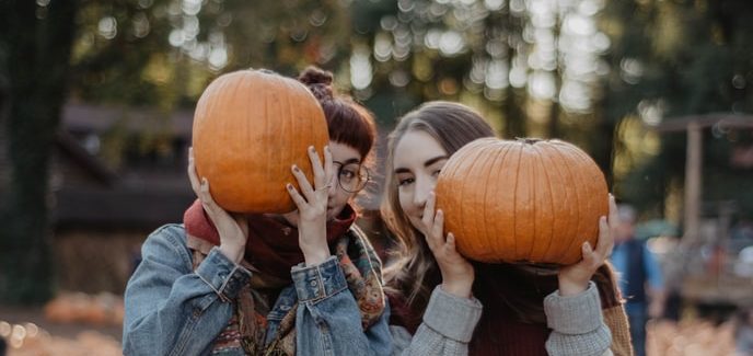 fall image with pumpkins